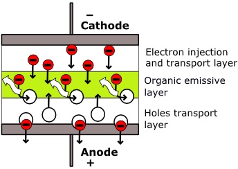 OLED physics