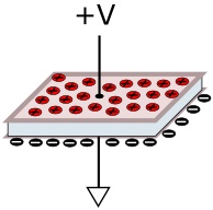 Capacitor construction